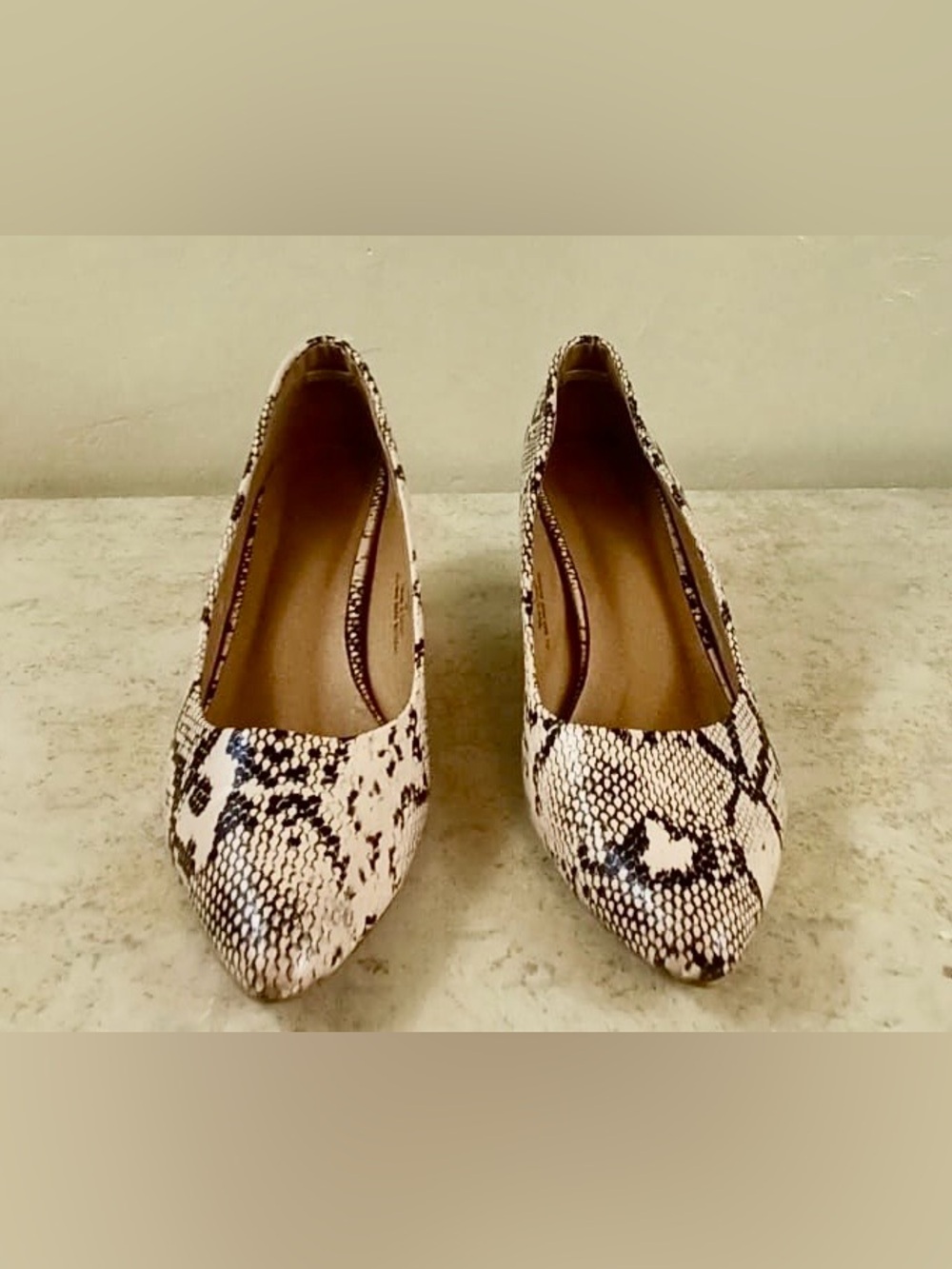 Pointed Snake-Print Heels in Cream and Black